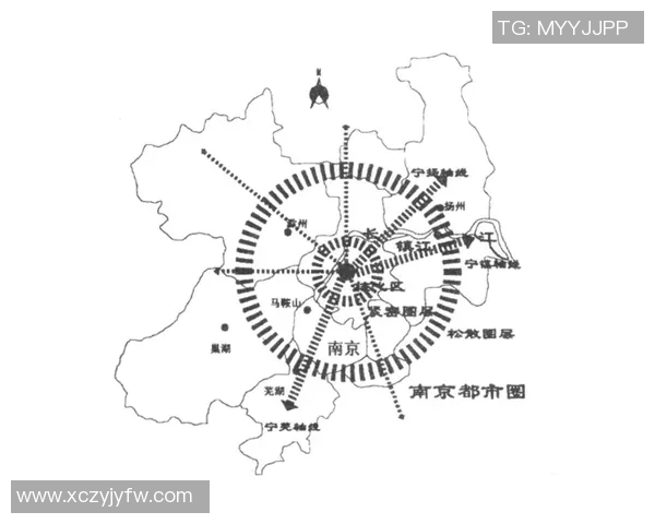 南京排球队的转换体系探讨与战术创新分析