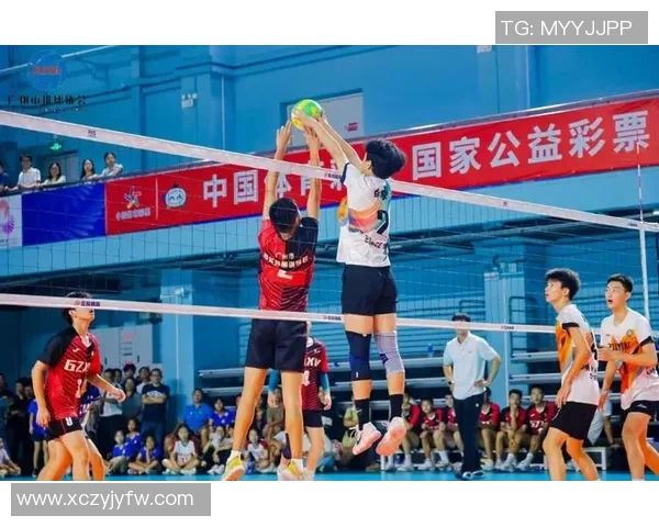 广州排球队在全国排球状态排行榜中荣登第七名展现强劲实力与潜力