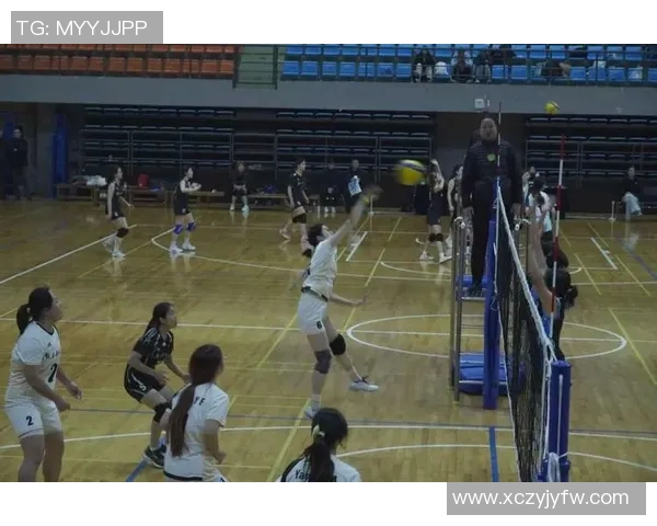 排球意识排行榜揭晓深圳排球队荣登榜首引发热议 排球意识排行榜揭晓深圳排球队荣登榜首引发热议