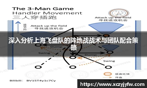 深入分析上海飞盘队的阵地战战术与团队配合策略