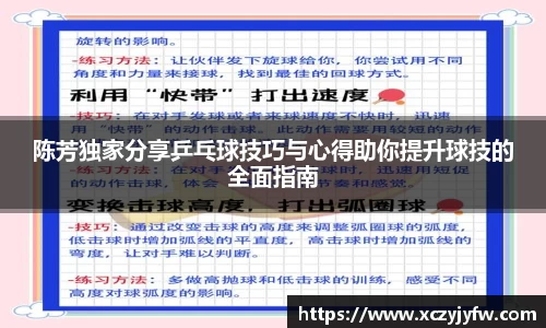 陈芳独家分享乒乓球技巧与心得助你提升球技的全面指南