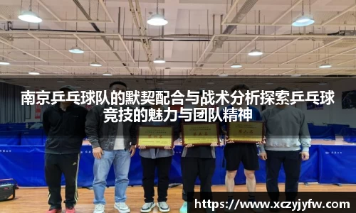 南京乒乓球队的默契配合与战术分析探索乒乓球竞技的魅力与团队精神