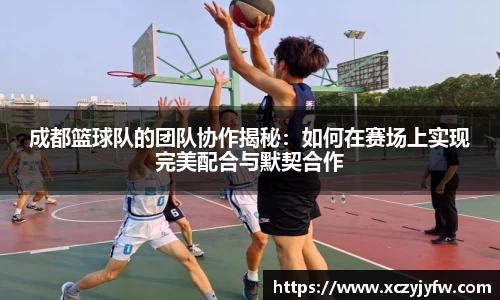 成都篮球队的团队协作揭秘：如何在赛场上实现完美配合与默契合作