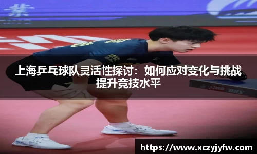上海乒乓球队灵活性探讨：如何应对变化与挑战提升竞技水平